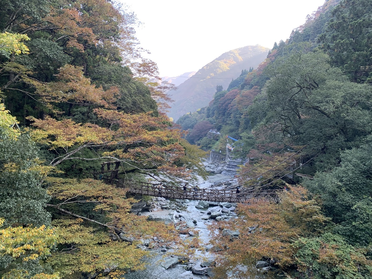 Première expérience bikepacking entre la Corée du Sud et le Japon